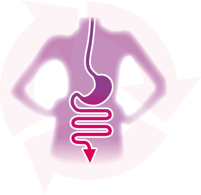 baktériumvetés a Trichomonas flóráján)