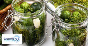 Alimentos saludables Pickles de verdura