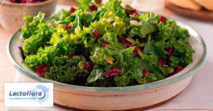 Alimentos saludables Kale