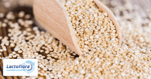 Alimentos saludables: Quinoa