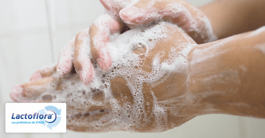 Hipótesis de la higiene excesiva (o cómo las bacterias entrenan a nuestro sistema defensivo)
