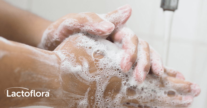 Hipótesis de la higiene excesiva (o cómo las bacterias entrenan a nuestro sistema defensivo)