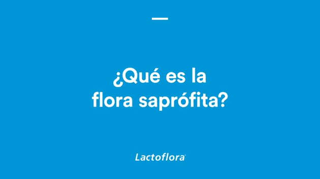 ¿Qué es la flora saprófita?