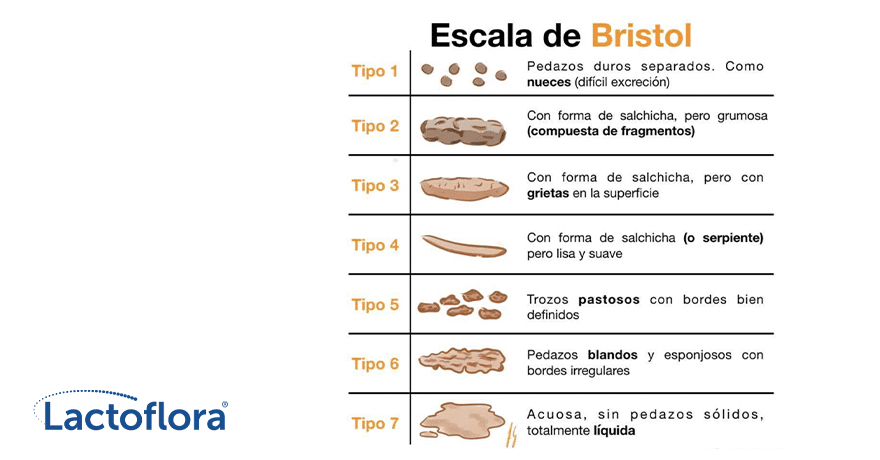 escala de bristol