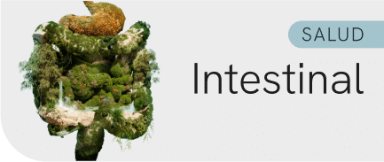 Salud intestinal