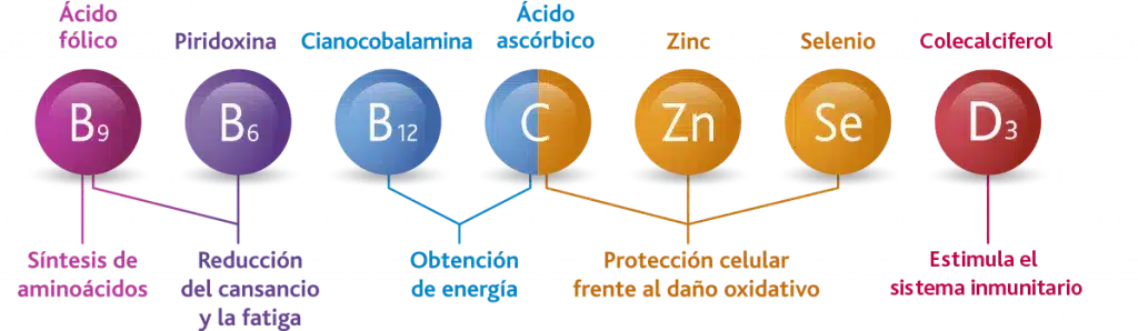 Vitaminas y minerales