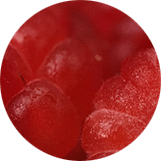 Arándano rojo americano