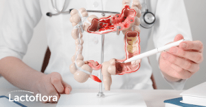 permeabilidad intestinal